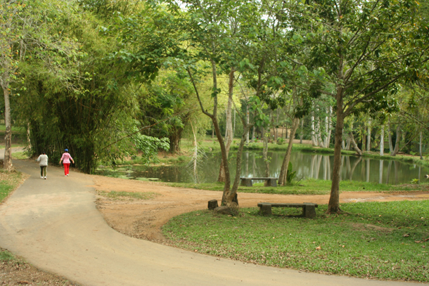 Paseo por el parque Cachamay Paseo por el parque Cachamay