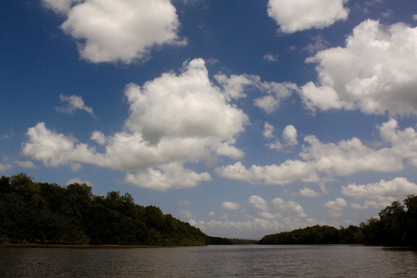 Parque Nacional Turepano