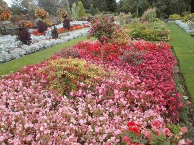Singlenton Park en Swansea