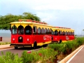Tranva de Maracaibo ofrece tour a Santa Rita en fines de semana