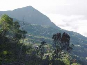 El 