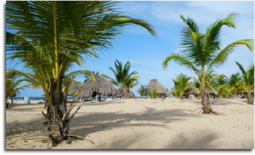 Playa Miami. Foto: Web