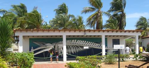 Museo Marino