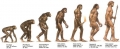Origen y evolucion del Hombre