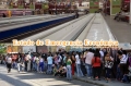 La Sala Constitucional y el Decreto de Emergencia Econmica