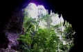 Parque nacional Cueva de la Quebrada del Toro (Estado Falcn)