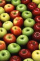 Beneficios y Propiedades de la Manzana (roja, amarilla, verde)