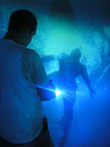 Camlb, Luz sobre luz, Alexandra Meijer-Werner