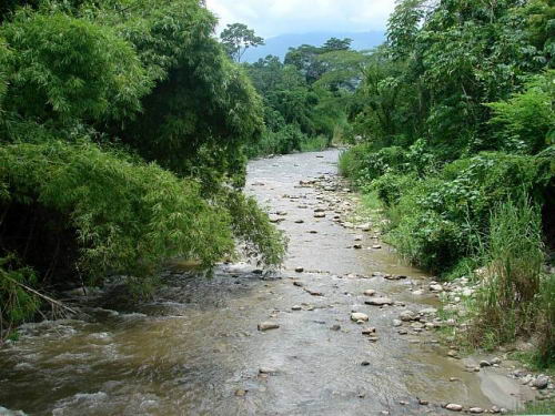 Río Torondoy en las cercanías al pueblo Torondoy. Estado Mérida. Río Torondoy en las cercanías al pueblo Torondoy. Estado Mérida.