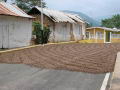 Siquisay: pueblo Trujillano con aroma a caf