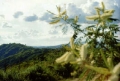 Parque Nacional Terepaima entre los estados Lara y Portuguesa