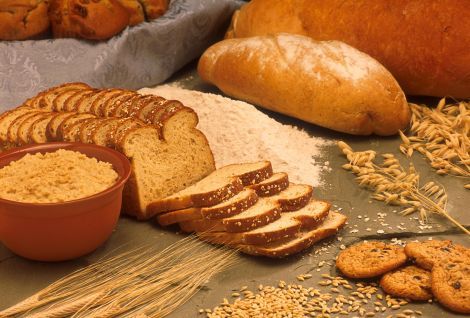 Los carbohidratos