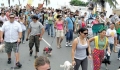 Las mascotas marchan en pro de sus derechos