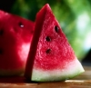 Patilla