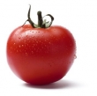 Tomate