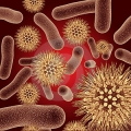 Mdico Infectlogo: Especialista en el diagnstico, tratamiento y prevencin de enfermedades infecciosas