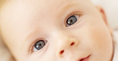Gracias a la fecundación in vitro, millones de parejas infértiles han visto la luz con la llegada de bebés a sus vidas. Gracias a la fecundación in vitro, millones de parejas infértiles han visto la luz con la llegada de bebés a sus vidas.