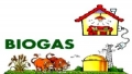 Cscaras de frutas pueden convertirse en biogs