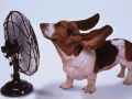 Nuevos horarios de racionamiento elctrico en Maracaibo (Enelven) y la COL (Enelco) con 1 hora interdiaria de corte
