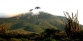 Cerro Santa Ana (estado Falcn)