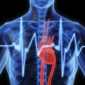 Cirujano cardiovascular, especialista en la ciruga del corazn y los vasos