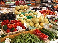 dieta vegetariana para prevenir el cncer, Vitamina D para prevenir el cncer, prevencion del Cncer de Pncreas, cncer de seno, cncer de ovario, cncer de colon, dietas vegetarianas, dieta vegetariana, Vegetales para el Cncer, Una dieta vegetariana y la vitamina D para prevenir el cncer