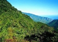 Parque Nacional Henri Pittier (estado Aragua)
