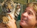 Steve Irwin (el cazador de cocodrilos) muri al ser atacado por una Raya venenosa