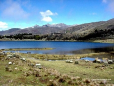paramo la culata,estado merida,laguna de mucubaji,vacaciones,turismo,viajes