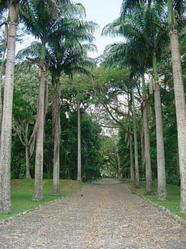 Caminería del parque San Felipe El Fuerte. Estado Yaracuy. Caminería del parque San Felipe El Fuerte. Estado Yaracuy.