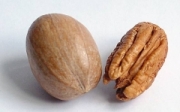 Pecana