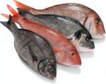 Los cidos del omega 3 poseen distintas propiedades que benefician a la salud.