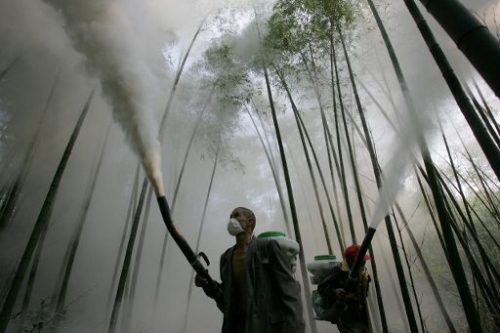 Algunos pesticidas dañan la capa de ozono Algunos pesticidas dañan la capa de ozono