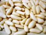 Pin