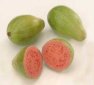 La Guayaba ayuda a elevar la emoglobina La Guayaba ayuda a elevar la emoglobina