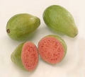 Beneficios y propiedades de la Guayaba