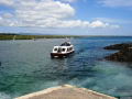 Isla Baltra (Islas Galpagos)