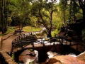 Visite el Parque Zoolgico Chorros de Milla en Mrida