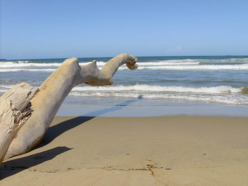 Playa El Palito Playa El Palito