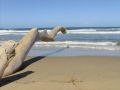 Playa el Palito (Estado Carabobo)