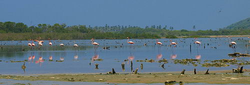 Laguna la Bocaina (Foto:Flickr)