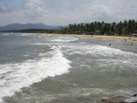  Playa Palma Sola