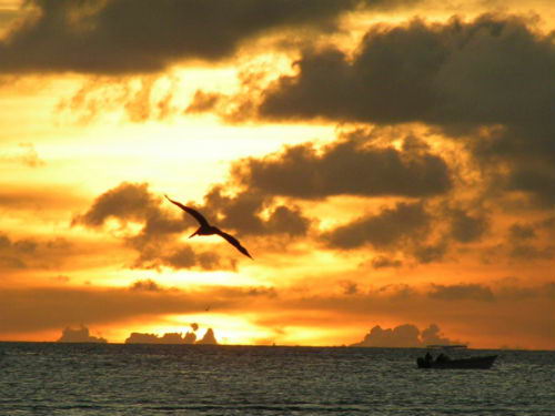 Atardecer Atardecer