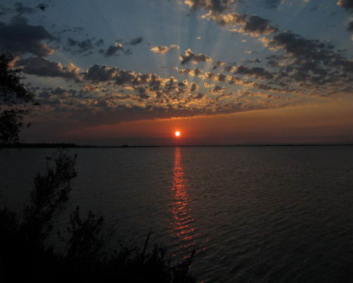 Imponente atardecer en Esteros del Iberá Imponente atardecer en Esteros del Iberá