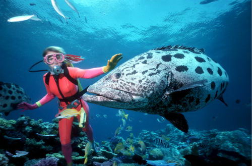 Turista practicando deporte acutico en la barrera de coral