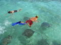 Conozca las bellezas de la Reserva Marina Hol Chan (Belice)