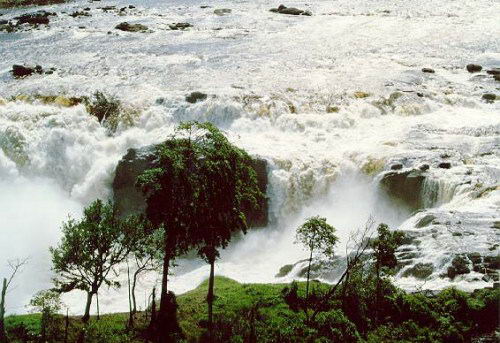 Parque Cachamay