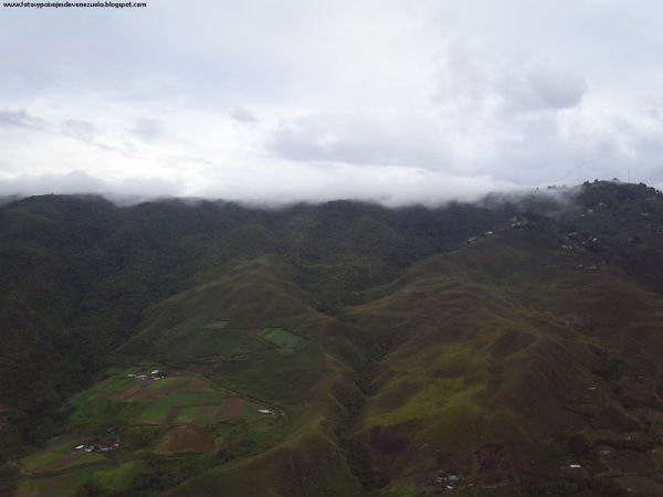 Paisaje en el Junquito