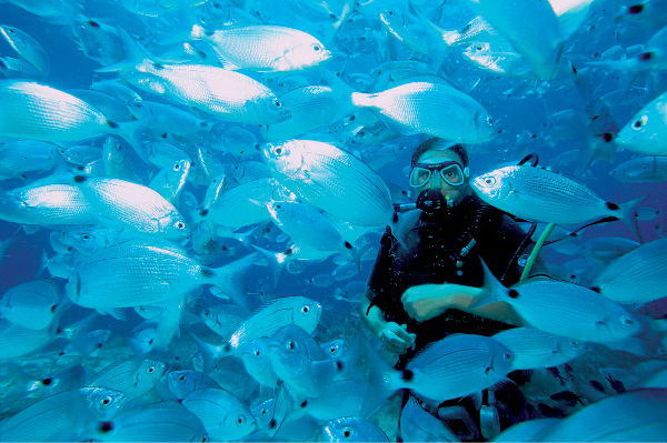 Practicando buceo en Malta