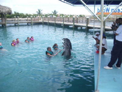 Nado con delfines Parque Manat